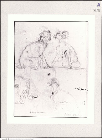 Vorderseite von bh487950_recto