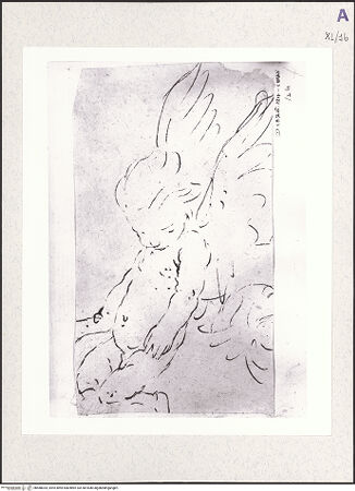 Vorderseite von bh488034_recto