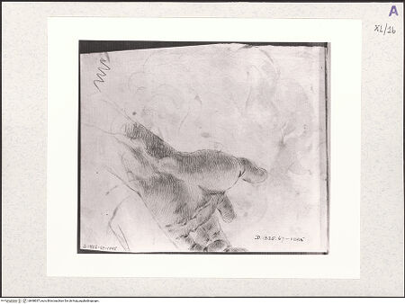 Vorderseite von bh488037_recto