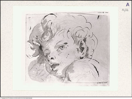 Vorderseite von bh488038_recto