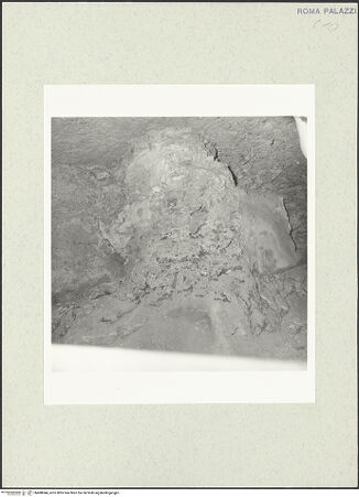 Vorderseite von bh488044_recto