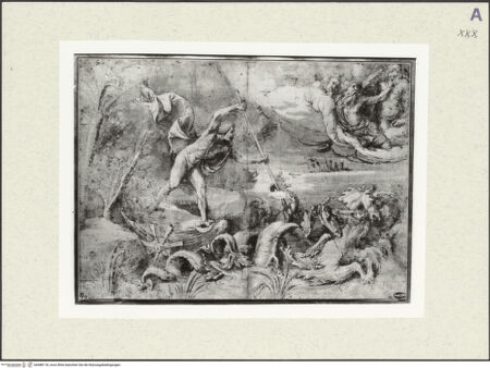 Vorderseite von bh488118_recto