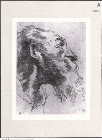 Vorderseite von bh488136_recto