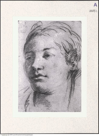 Vorderseite von bh488137_recto