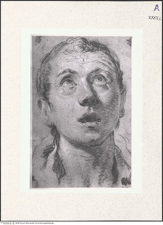 Vorderseite von bh488140_recto