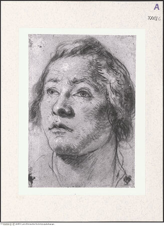 Vorderseite von bh488141_recto