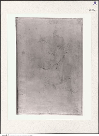 Vorderseite von bh488146_recto