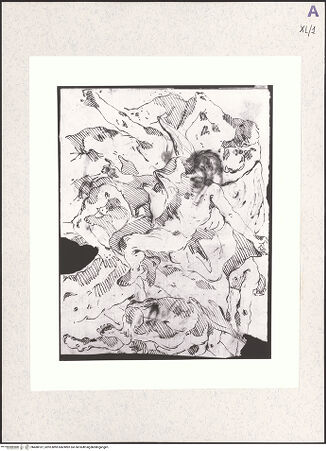 Vorderseite von bh488187_recto