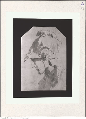 Vorderseite von bh488196_recto