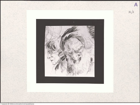 Vorderseite von bh488202_recto