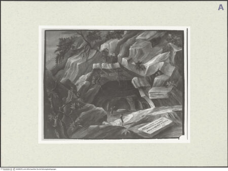 Vorderseite von bh488229_recto