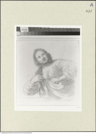 Vorderseite von bh488245_recto