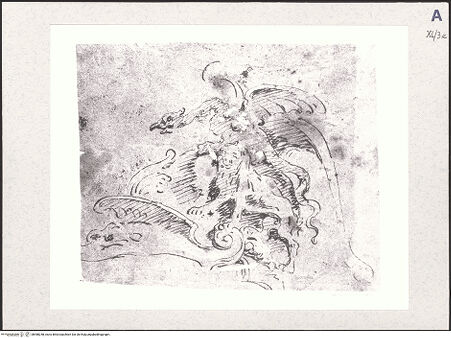 Vorderseite von bh488248_recto