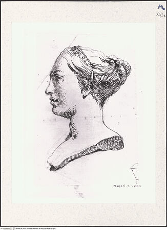 Vorderseite von bh488249_recto