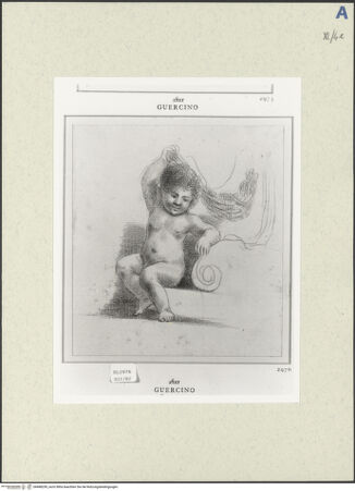 Vorderseite von bh488250_recto