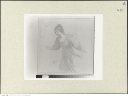 Vorderseite von bh488258_recto