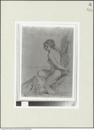 Vorderseite von bh488263_recto