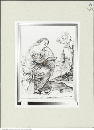 Vorderseite von bh488264_recto