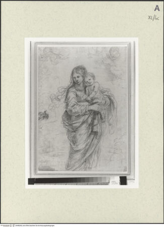 Vorderseite von bh488268_recto