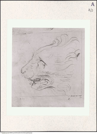 Vorderseite von bh488276_recto