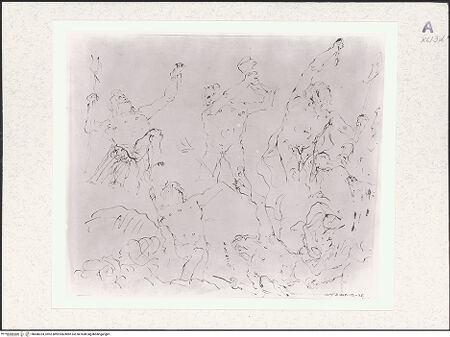 Vorderseite von bh488324_recto