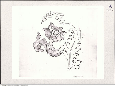 Vorderseite von bh488333_recto