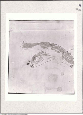 Vorderseite von bh488337_recto