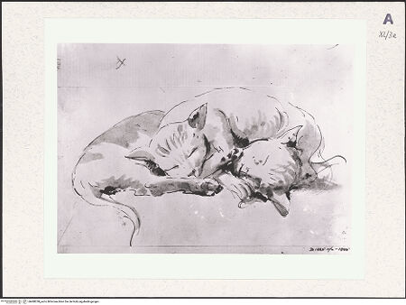 Vorderseite von bh488338_recto