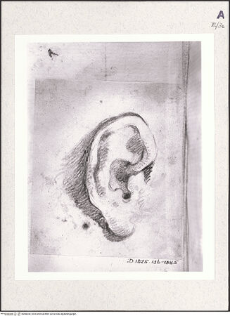 Vorderseite von bh488340_recto