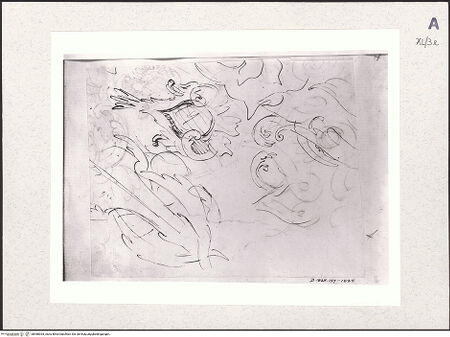 Vorderseite von bh488364_recto