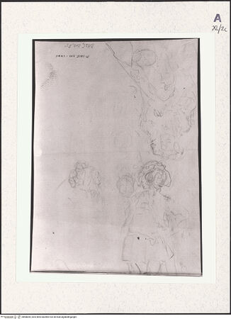 Vorderseite von bh488365_recto