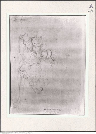 Vorderseite von bh488377_recto