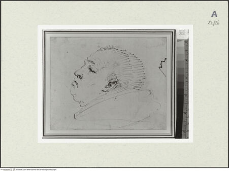 Vorderseite von bh488381_recto