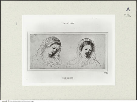 Vorderseite von bh488394_recto