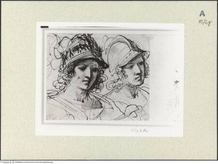 Vorderseite von bh488398_recto