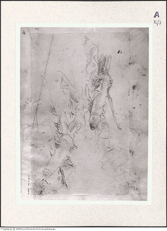 Vorderseite von bh488403_recto