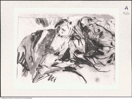 Vorderseite von bh488409_recto