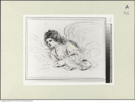 Vorderseite von bh488410_recto