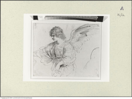 Vorderseite von bh488411_recto