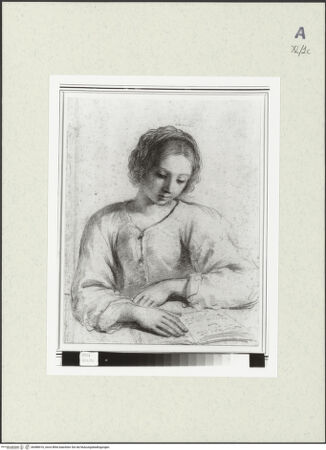 Vorderseite von bh488416_recto