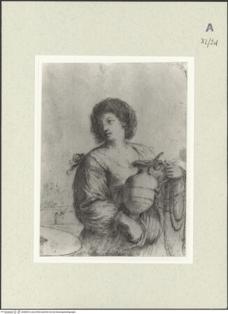 Vorderseite von bh488418_recto