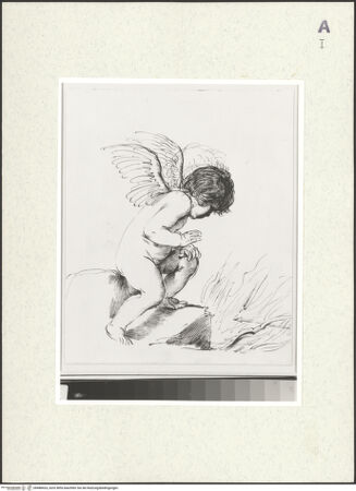 Vorderseite von bh488424_recto