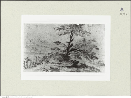 Vorderseite von bh488426_recto