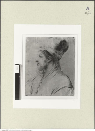 Vorderseite von bh488434_recto