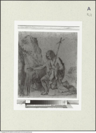 Vorderseite von bh488436_recto