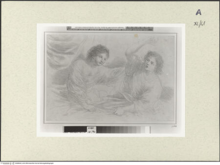 Vorderseite von bh488443_recto