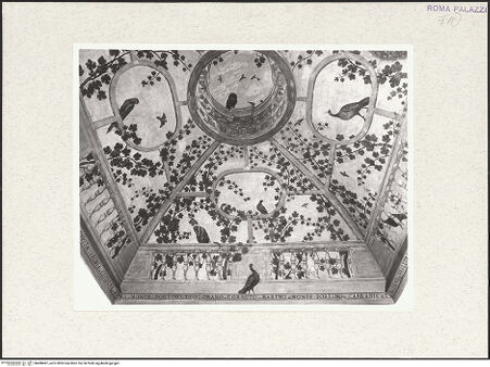 Vorderseite von bh488447_recto