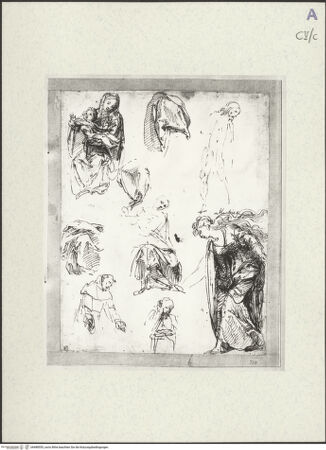 Vorderseite von bh488555_recto