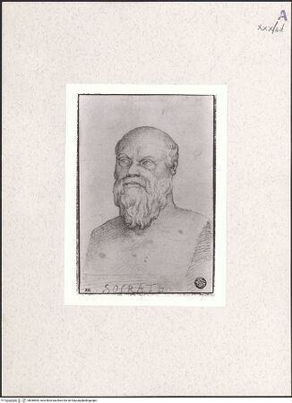 Vorderseite von bh488569_recto