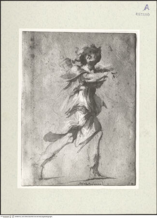 Vorderseite von bh488702_recto